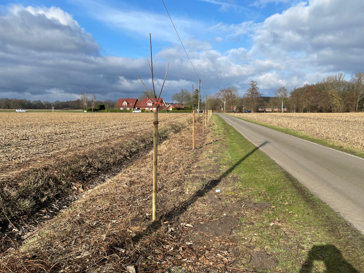 20250228 140926680 iOS